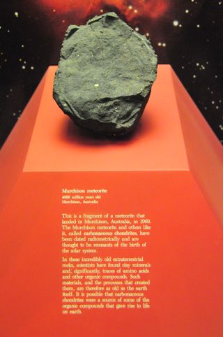 A sample of the Murchison meteorite, which fell in Australia in 1969 and which contains various organic molecules that may hint at the origin of life.