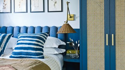 a blue bedroom with a small closet