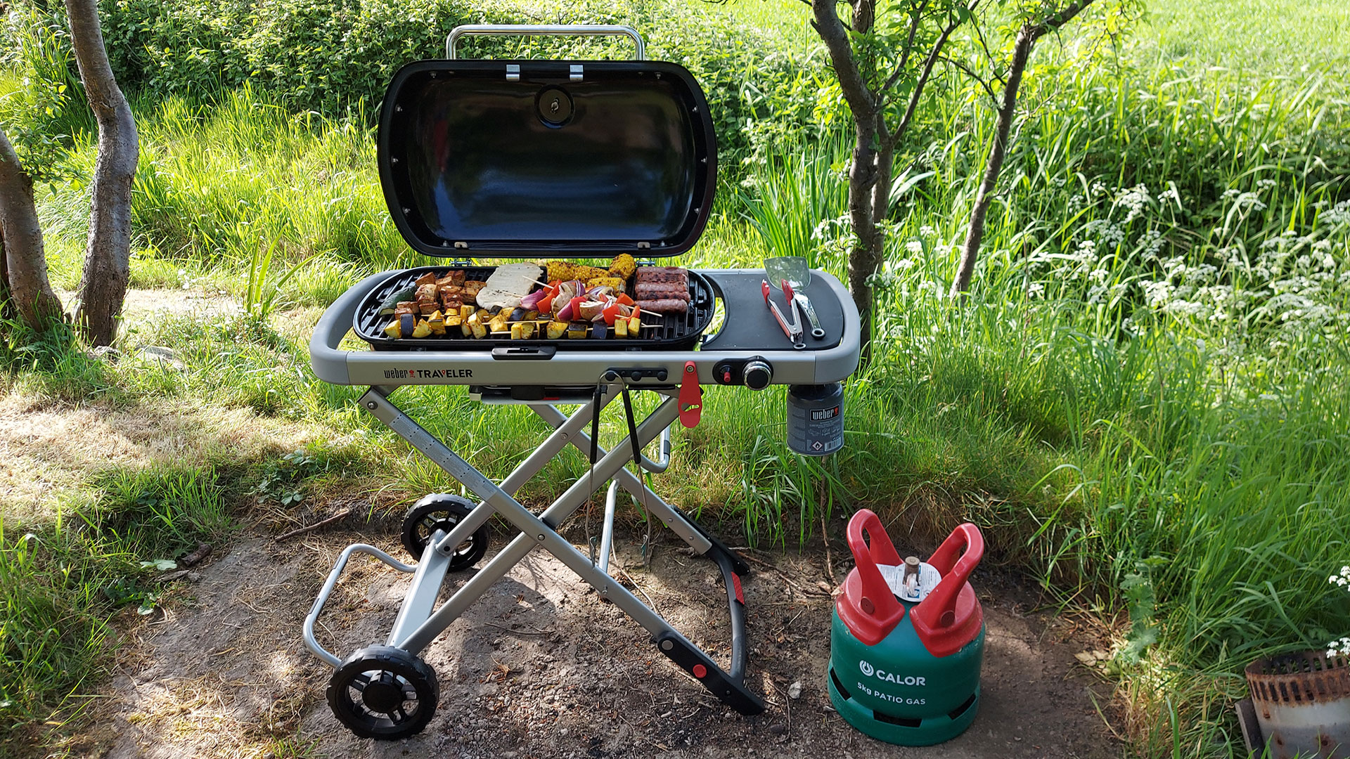 Weber Traveler review: gas barbecue that folds up a deckchair | T3