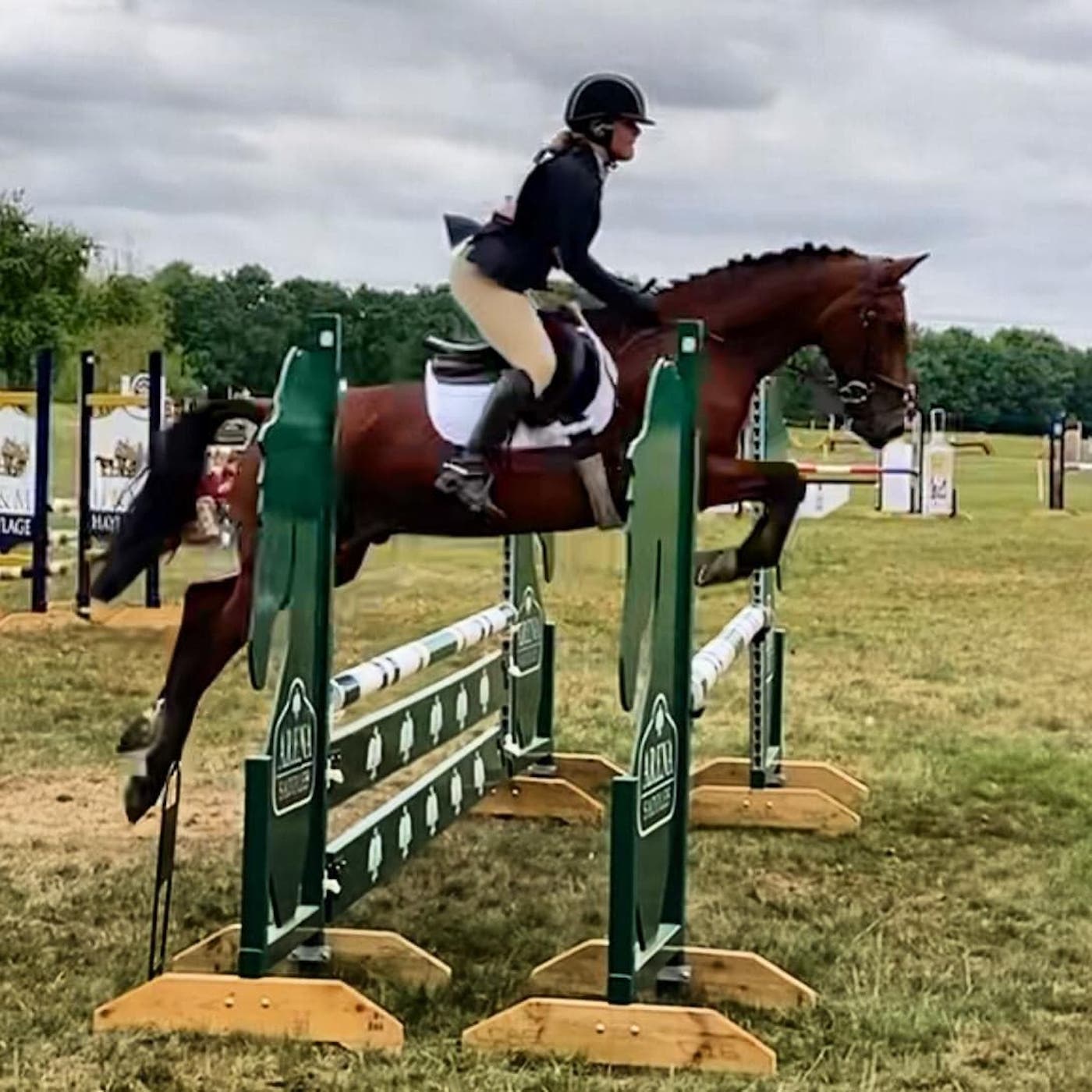 A hackney horse who loves cross-country has received the Hackney Horse Society 2022 performance award