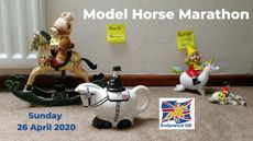 EGB-model-horse-marathon-poster-copy.jpg