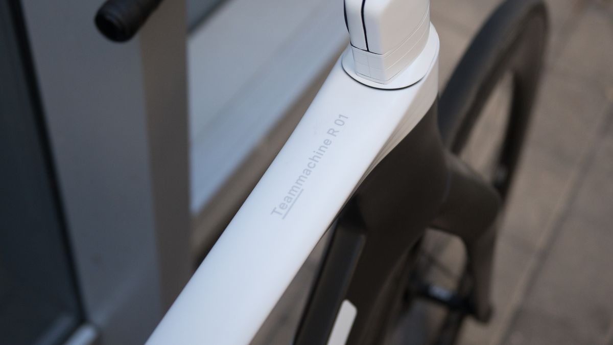 Teammachine R 01 LTD top tube graphic