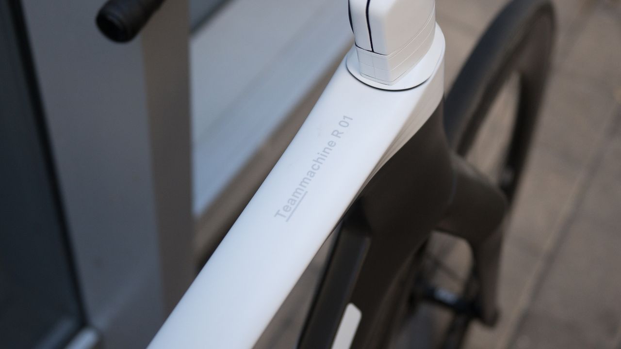 Teammachine R 01 LTD top tube graphic