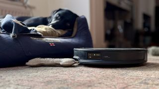 Roborock Saros 10R robot vacuum and mop with dog asleep in background