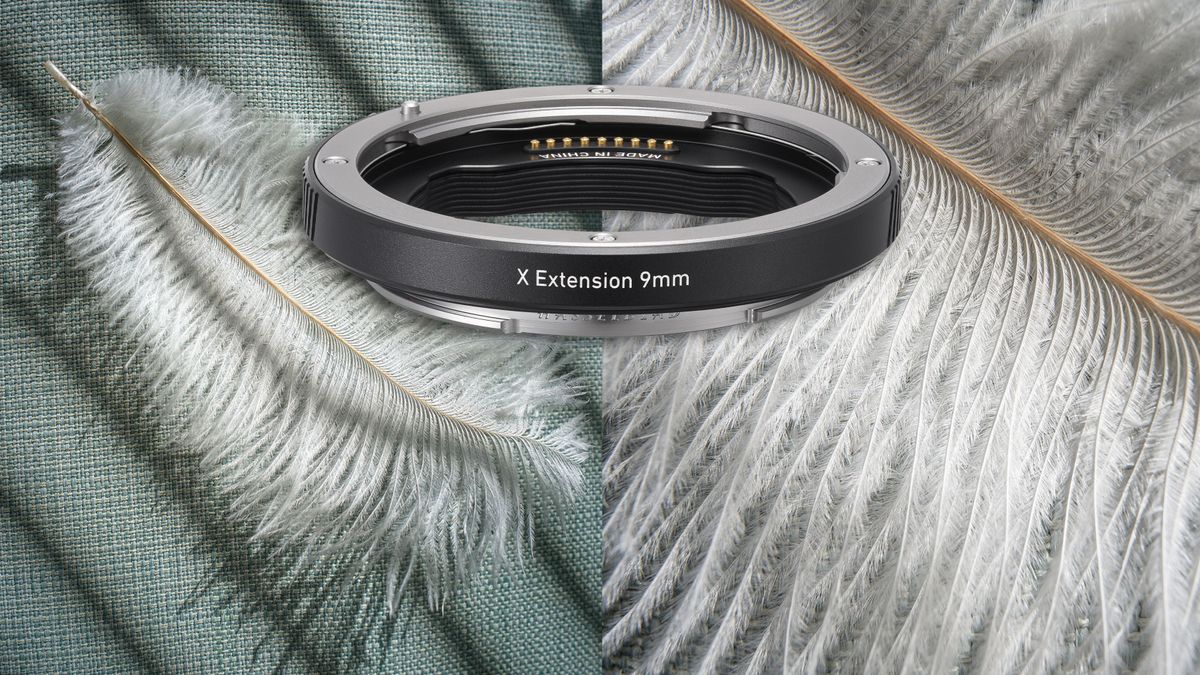 Hasselblad X Extension Tube with two images to illustrate its macro capabilities 