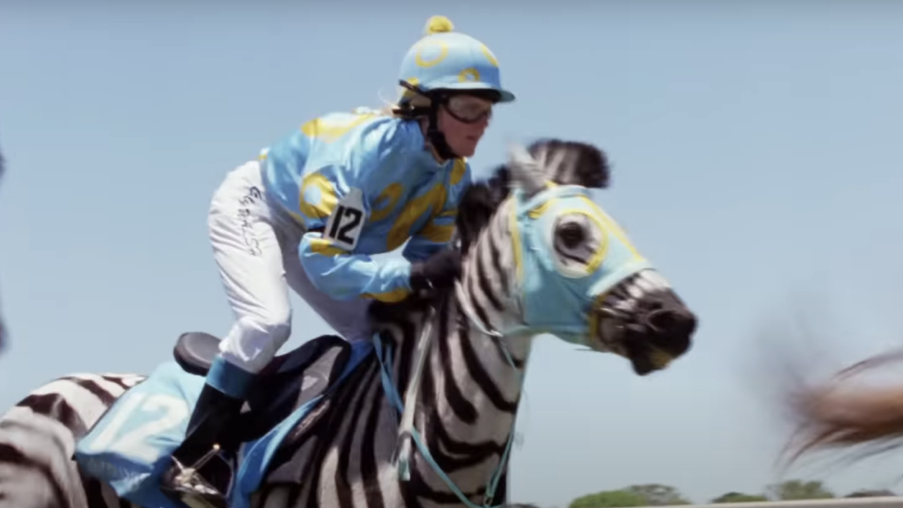 A jockey riding Stripes in Racing Stripes