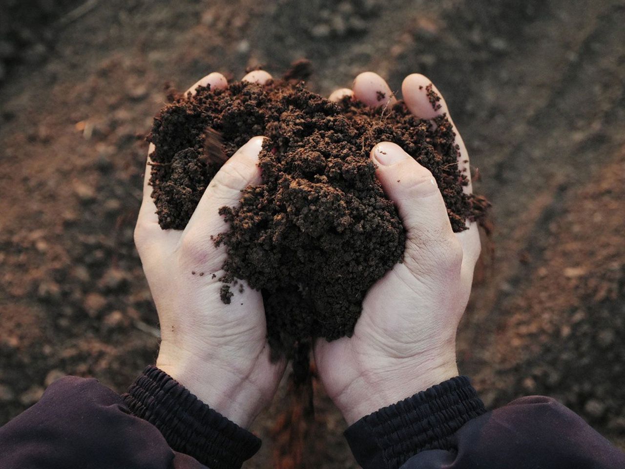 Hands Holding Sustainable Garden Soil