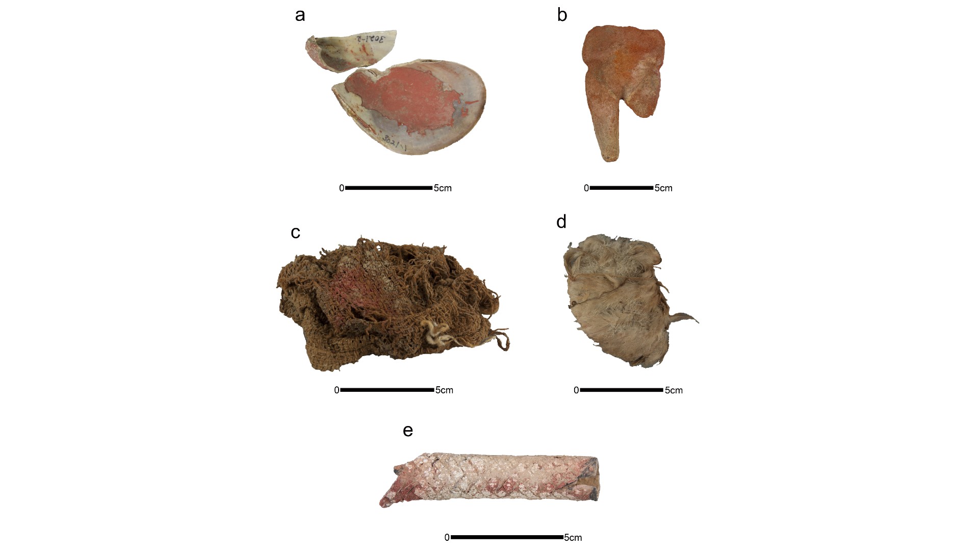 Material and skeletal remains with red pigment: a) shell container, b) ceramic figurine, c) textile, d) modified bird, e) worked bone wrapped in yarn.