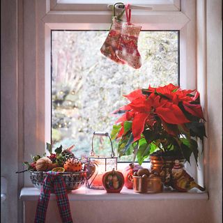 poinsettia in windowsill with Christmas decor