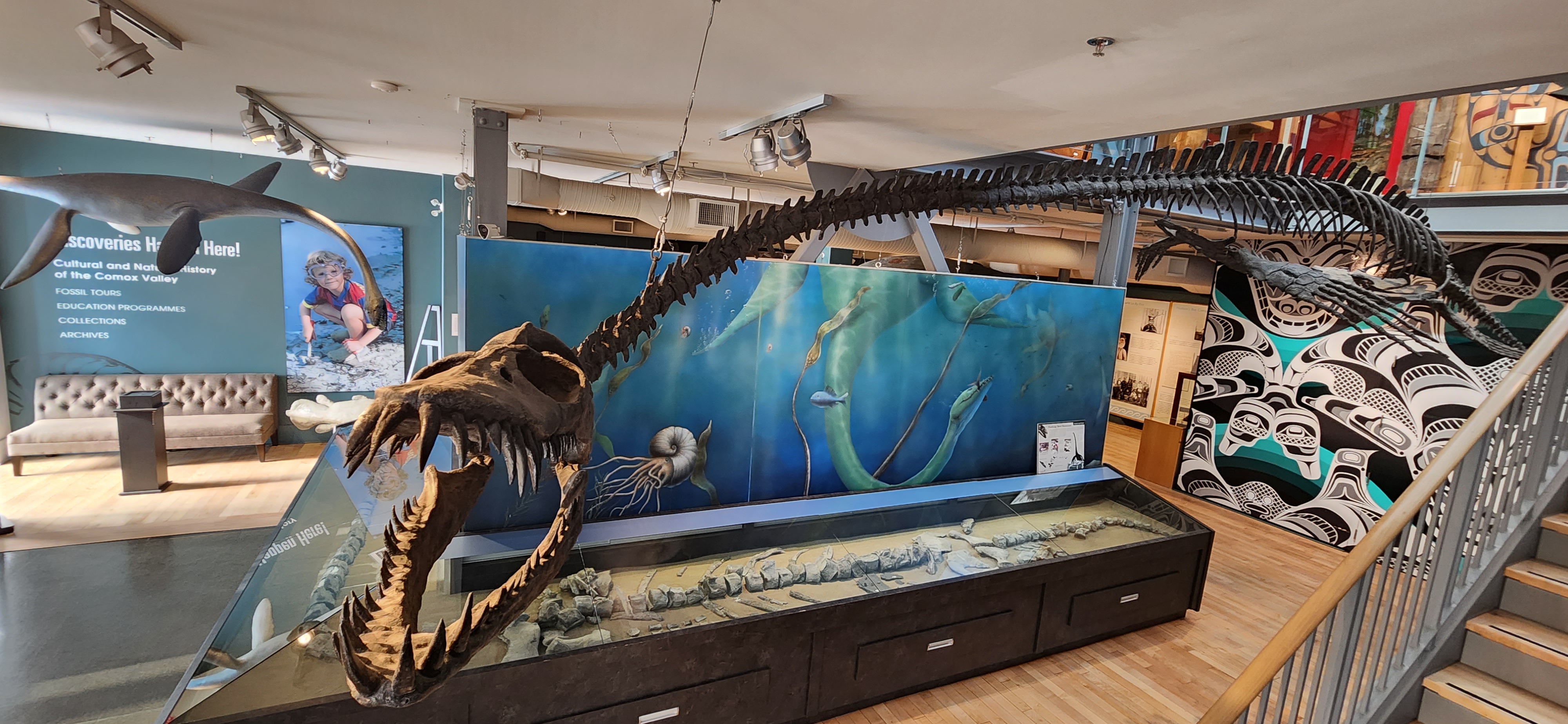 Museum display of Traskasaura.