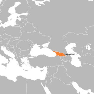 The country of Georgia (highlighted in orange) is located in south Caucasus