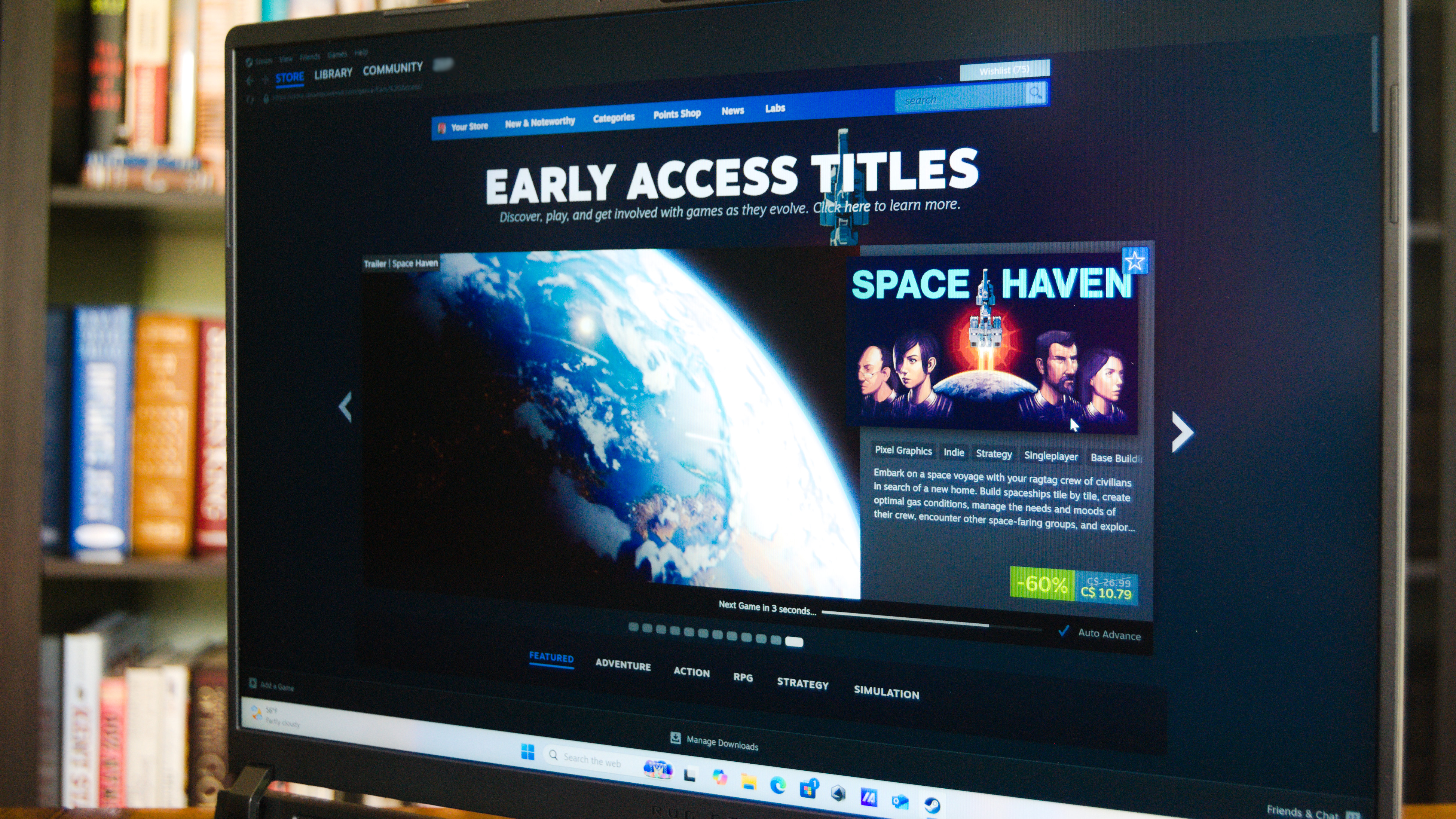 Steam Early Access