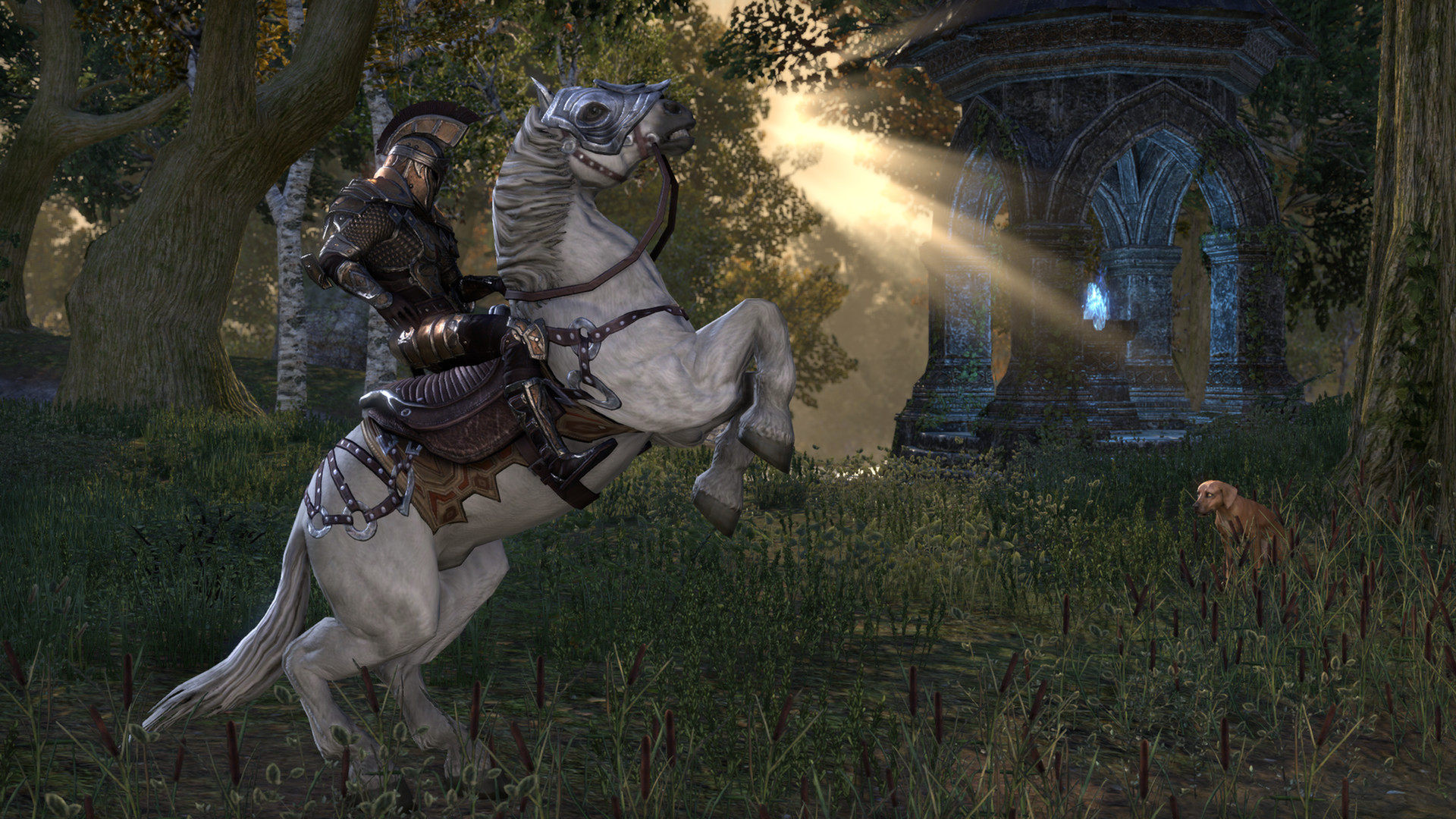 The Elder Scrolls Online screenshot showing a knight on a horse that's rearing up