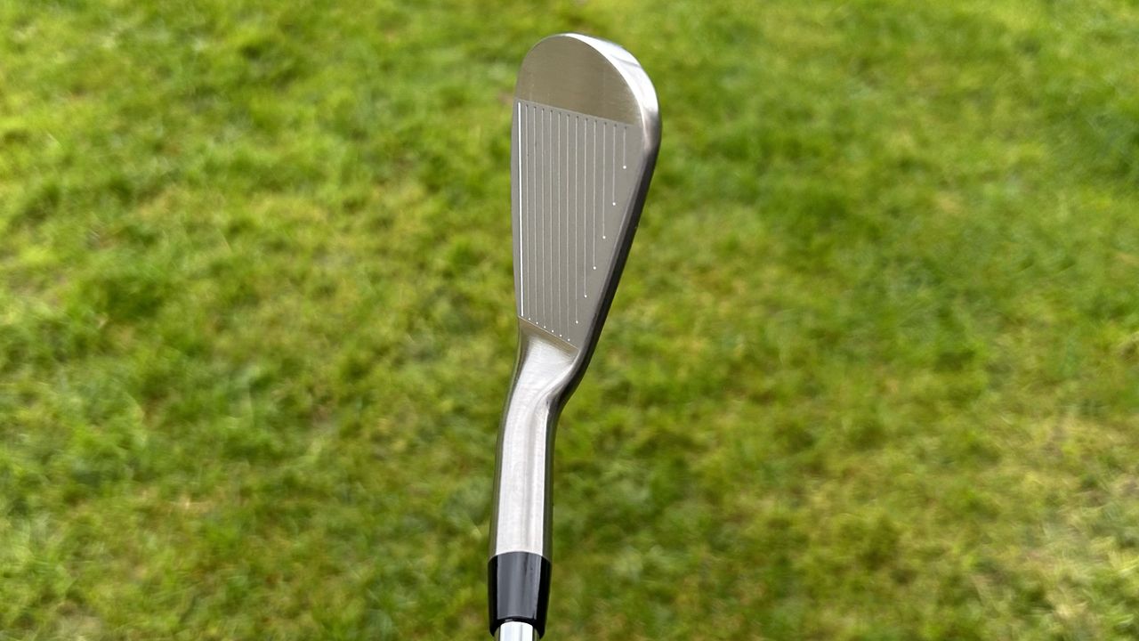 Photo of the Takomo 201T MKII Iron