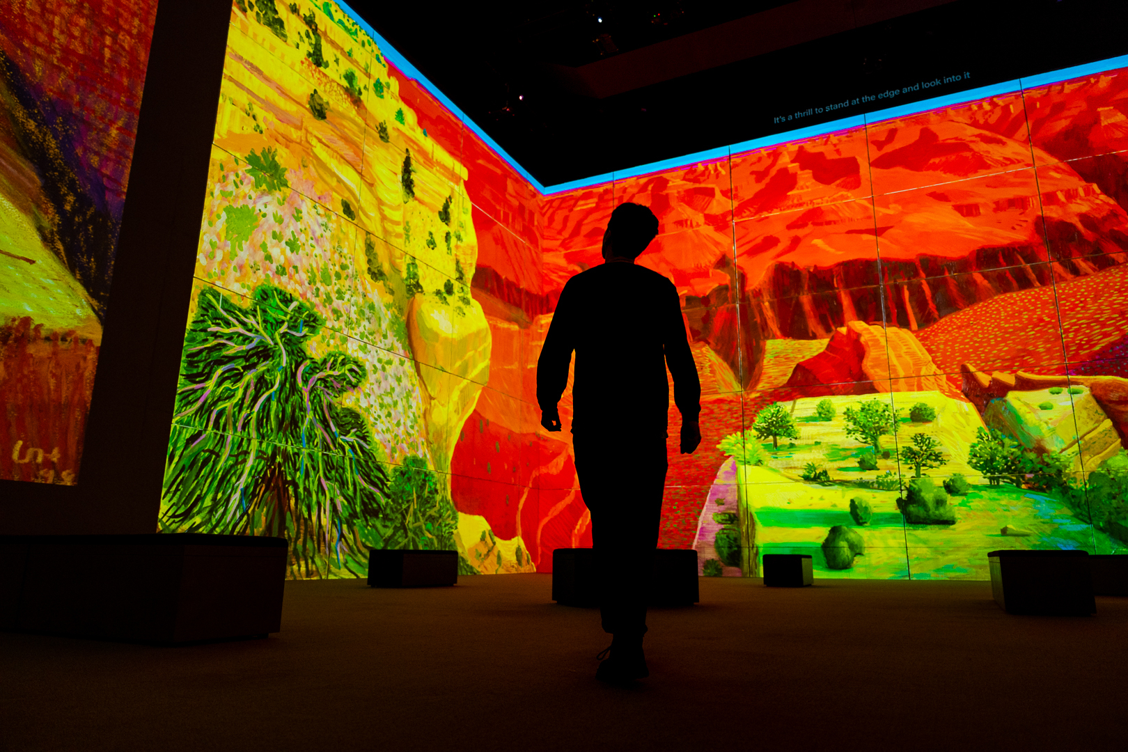 Image of people in an immersive art experience