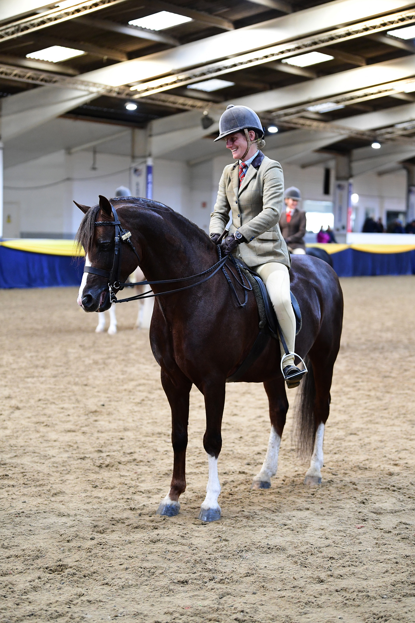 Heritage Show 14.10.23Cl 313 winnerNo. Linksbury Royal Celebration