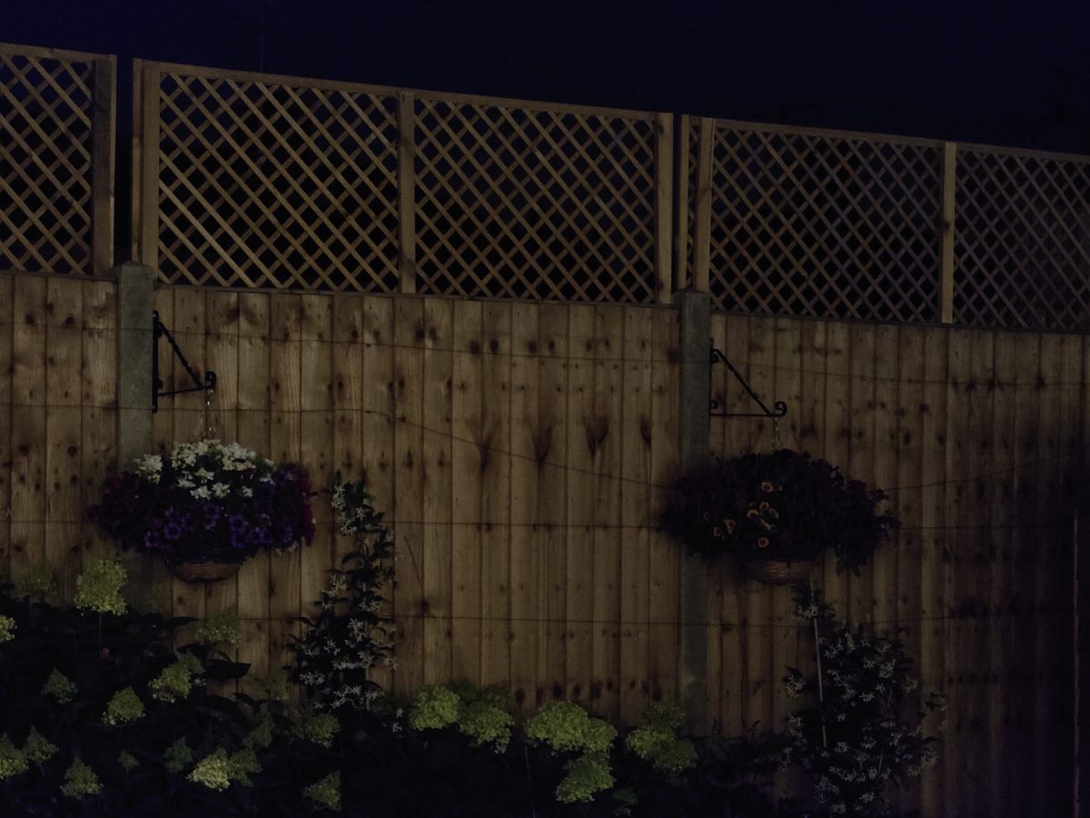 Sony Xperia 1 mark 4 camera samples