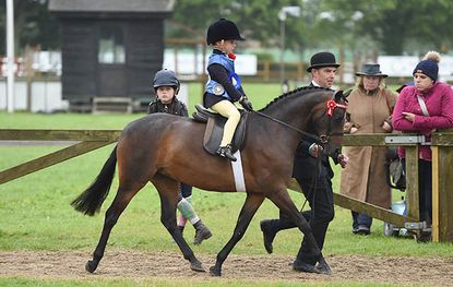 Seamoor Lady Derby, ridden by James Burchell and led by Oliver Burchell.