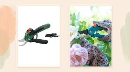 composite of bosch product and someone using a similar pair of secateurs on a rose bush