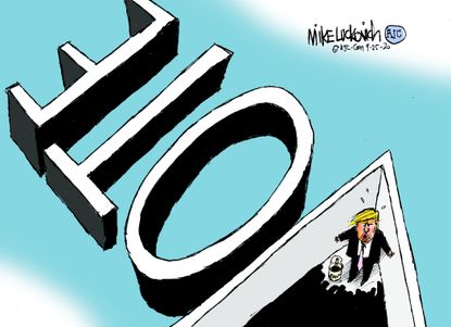 Political Cartoon U.S. Trump 2020 vote