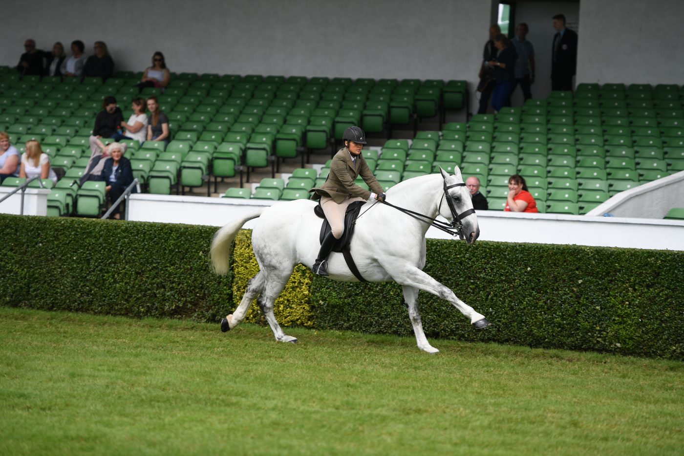 maxichampion-e1563291661683.jpg