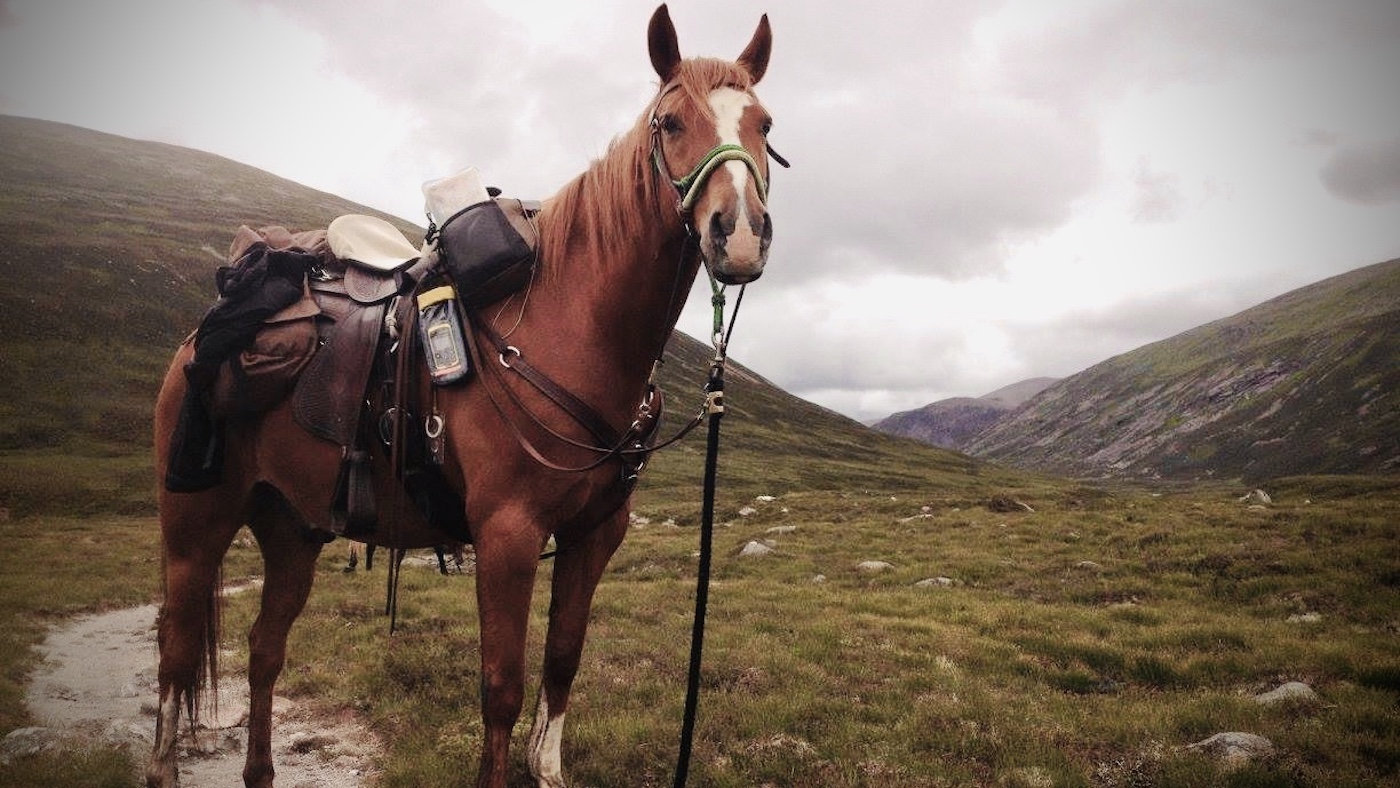 Places to ride in Scotland: long-distance riding in the Cairngorms