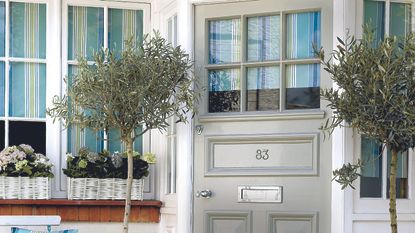 Sage green front door with house number in middle and plants either side.