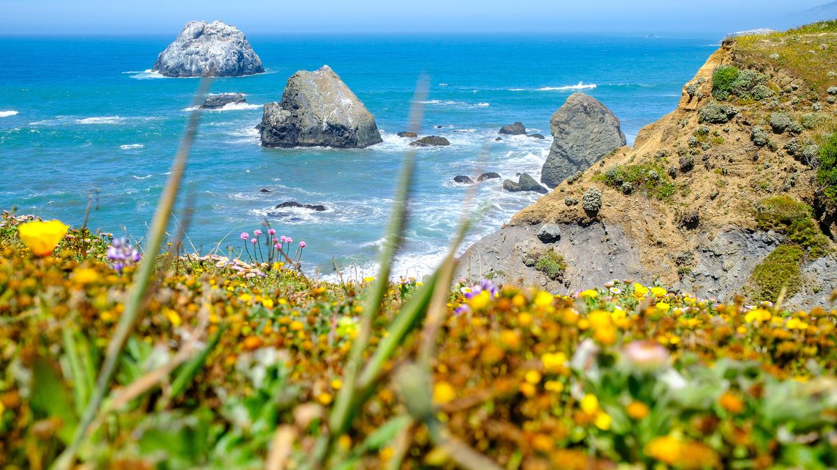 The California coastline as seen from Sonoma State Park