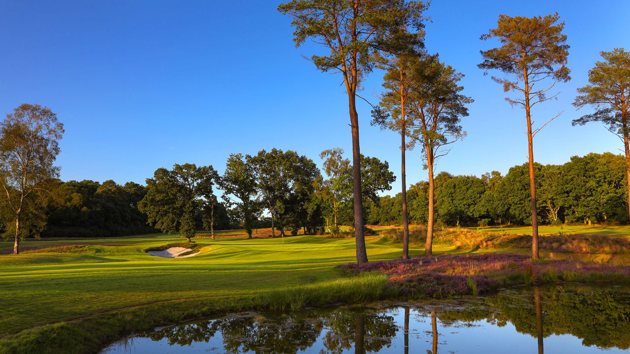 Liphook Golf Club pictured