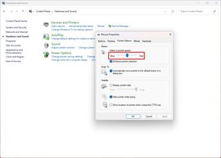 Control Panel change motion pointer