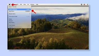 A screenshot of the Mac home screen, with red arrows pointing at the Apple icon and at System Settings. 