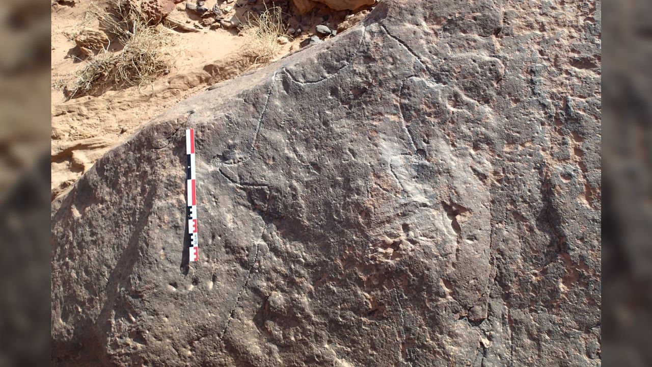 The engraved boulder from Jebel az-Zilliyat, Saudi Arabia, depicting two desert kites.