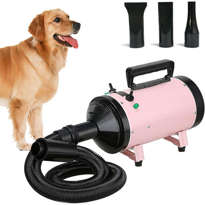 pink dog hairdryer