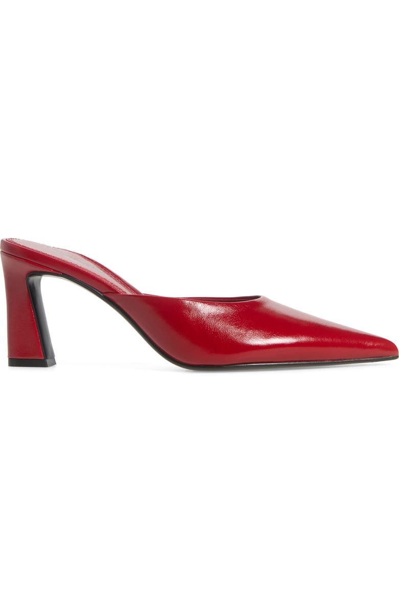 Unamused Pointed Toe Mule