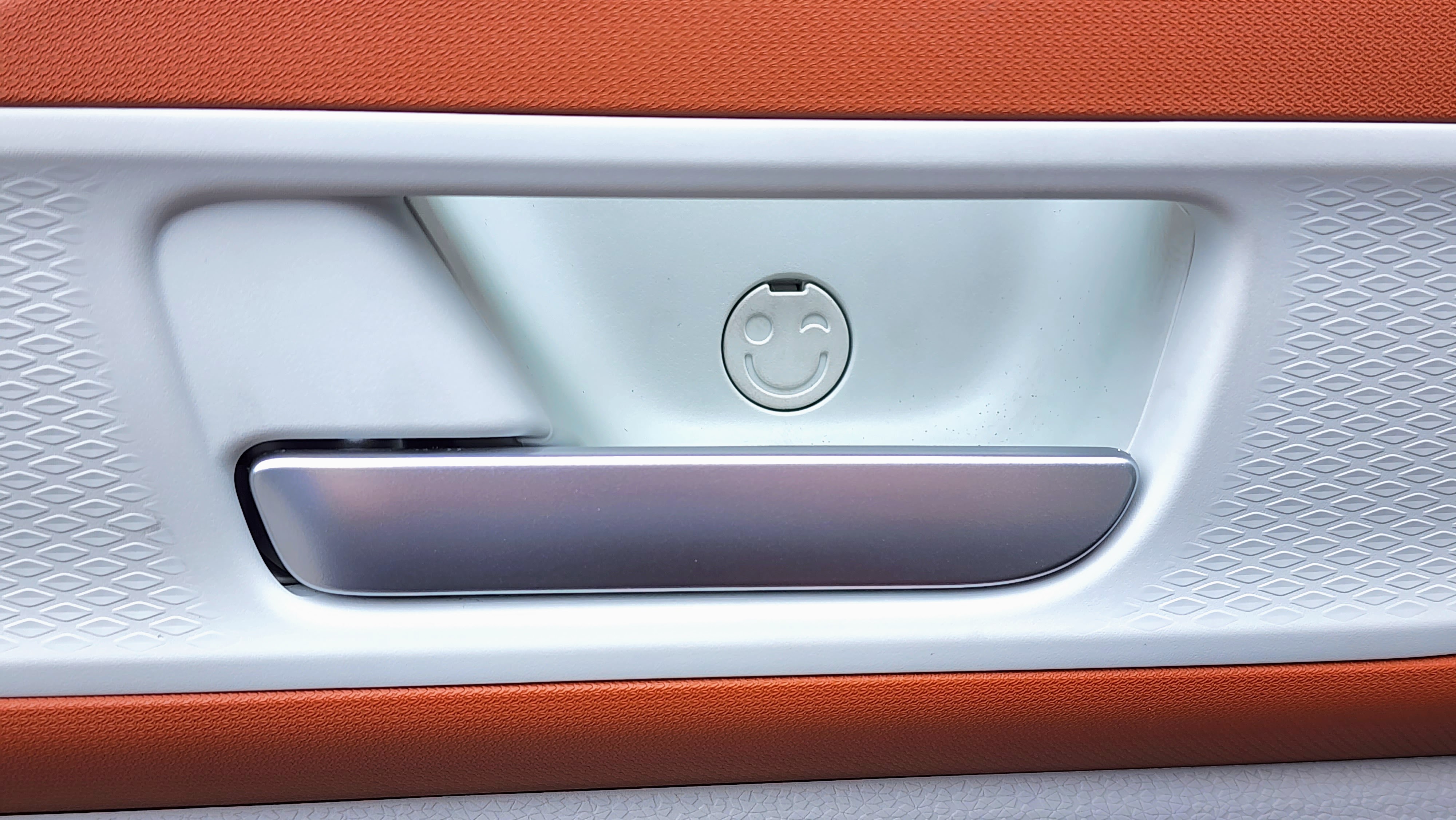 Close-up of the smiley face icon behind the internal door handles