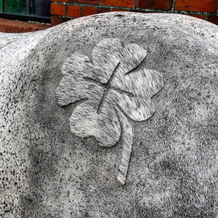“I clipped this four leaf lucky clover on this lovely Irish pony” — Laura Pritchard