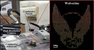 A high-resolution 3-D printer capable of printing feature sizes that are 10 to 1,000 times smaller than the width of a human hair, with "inks" ranging from metals for electronics to biological materials for biosensors. The tiny wolverine, enlarged at right, was made using the printer.