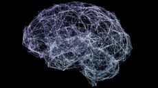 Lots of light blue/grey-colored lines connected to form the shape of a brain against a black background.