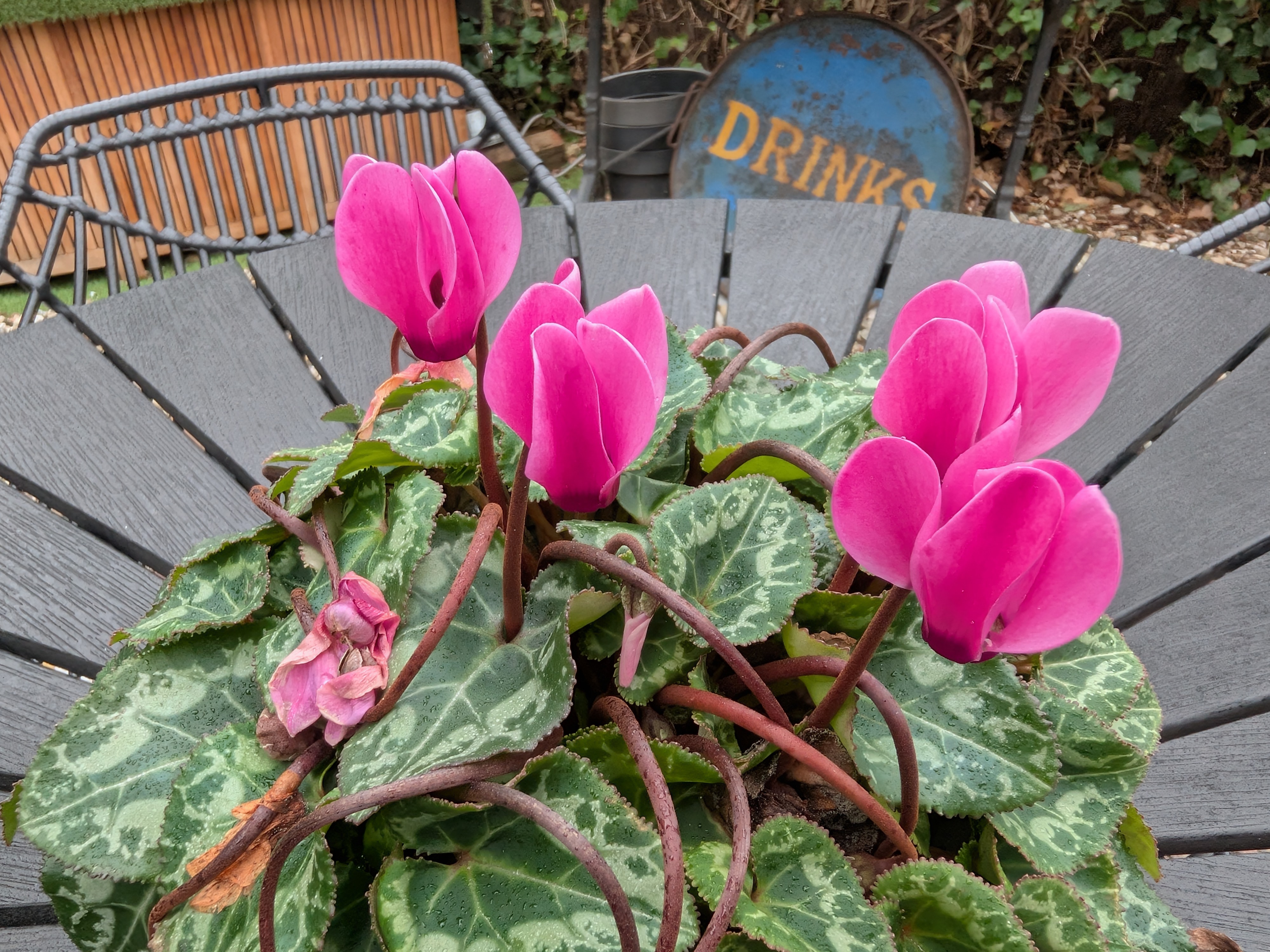 Google Pixel 10 Pro Fold