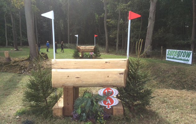 Blenheim Fences 2018