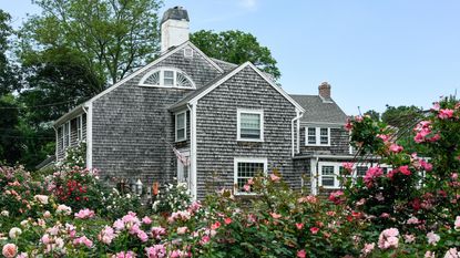 New England house with rose garden