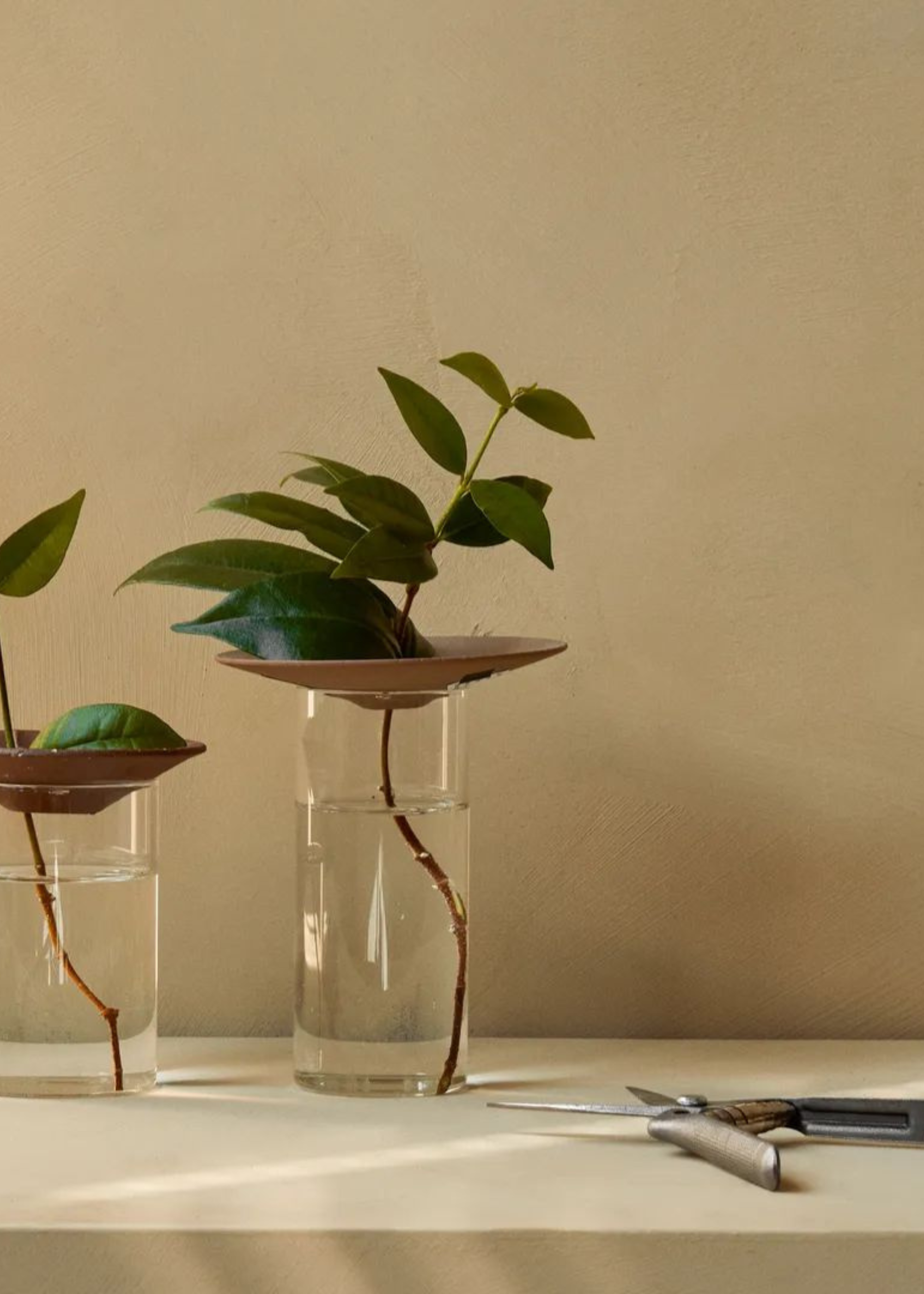 A set of two propagation vases from Nordic Nest by Audo Copenhagen