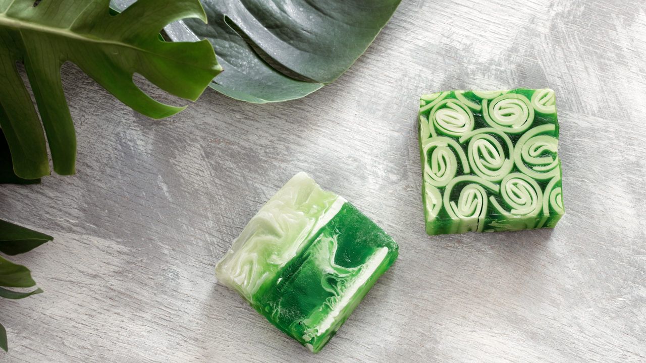 flatlay of two soap or shampoo bars with Swiss cheese plant leaves - best shampoo bars