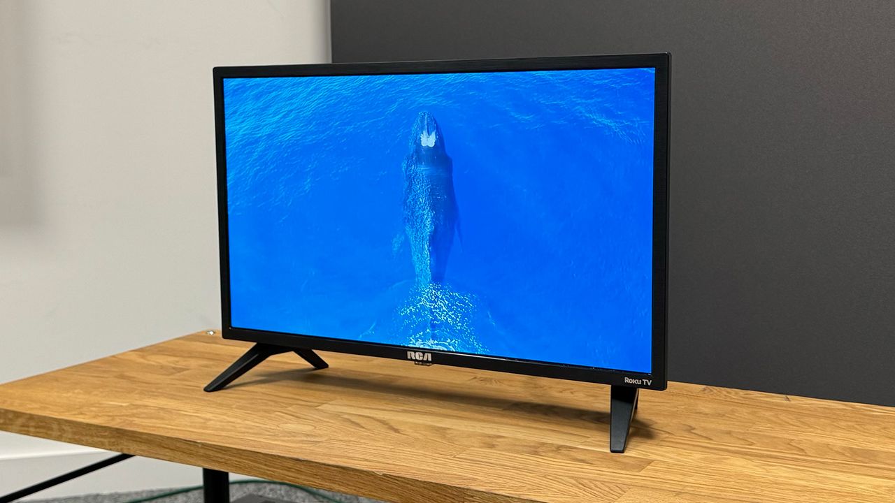 RCA Roku TV 24-inch (RK24HF1) small TV