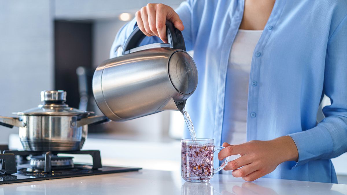 I test appliances for a living and I’m surprised electric kettles aren