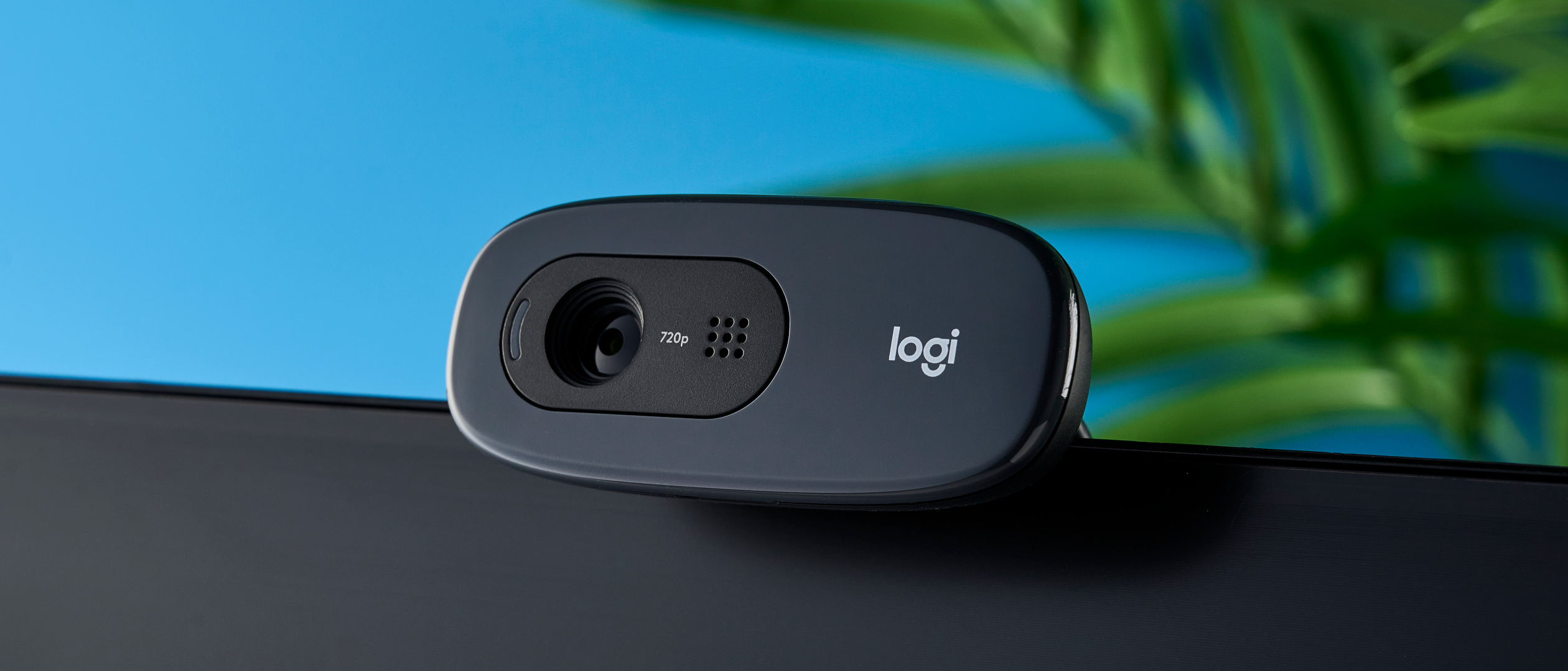 Logitech HD Webcam C270 - Webcam
