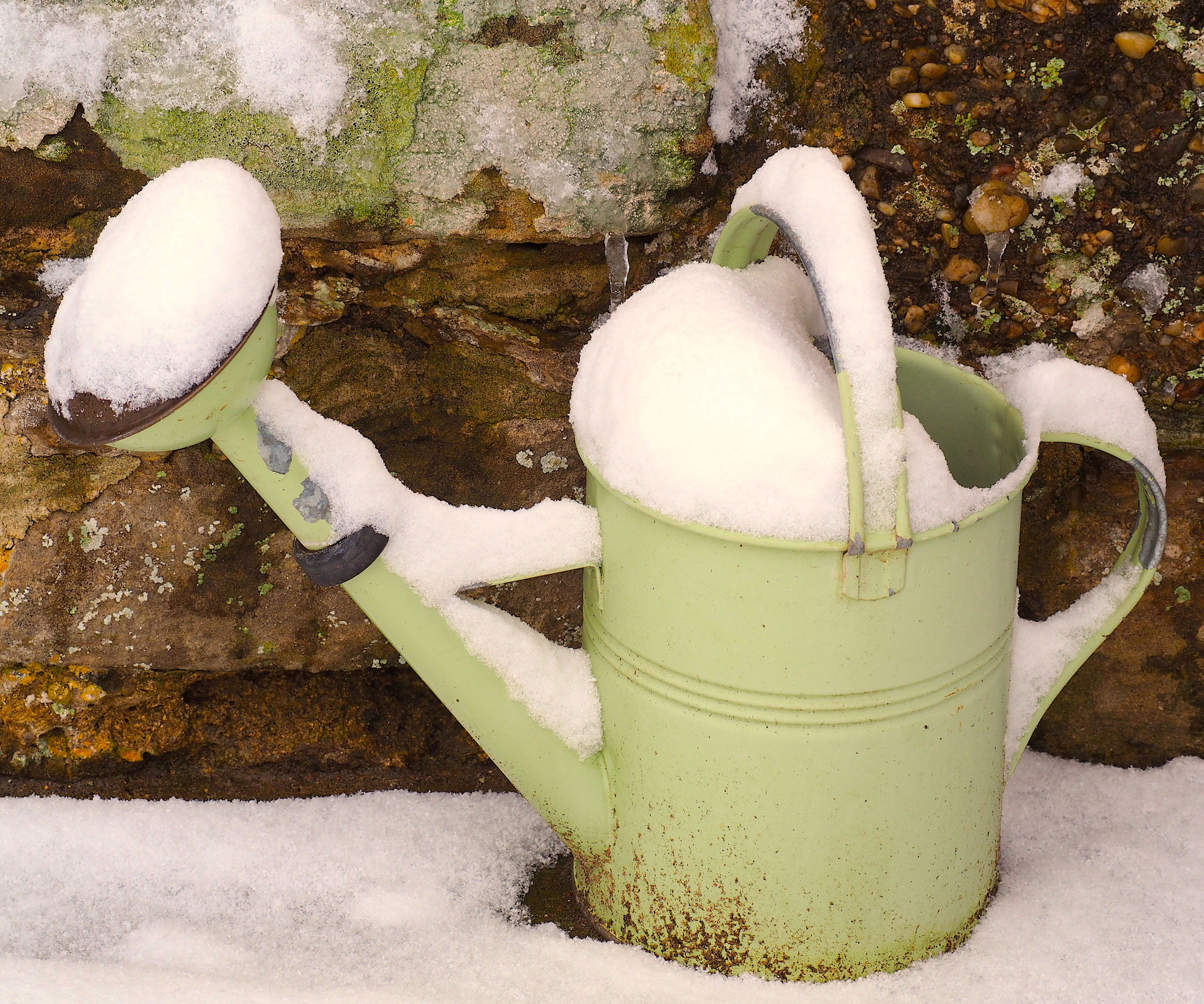 watering can covered with snow