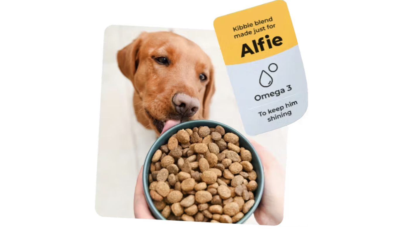 Tails dog food