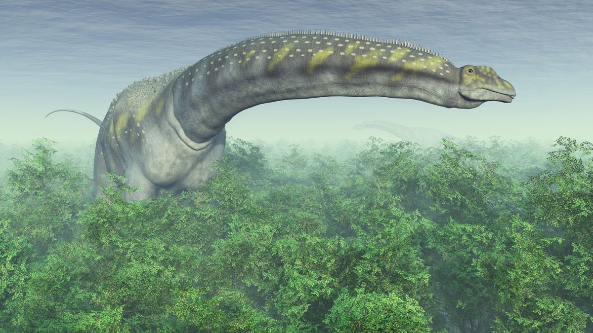 Are there any giant animals humans haven’t discovered yet? – Livescience.com