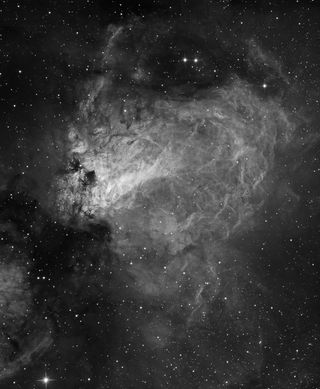 grey nebula in space